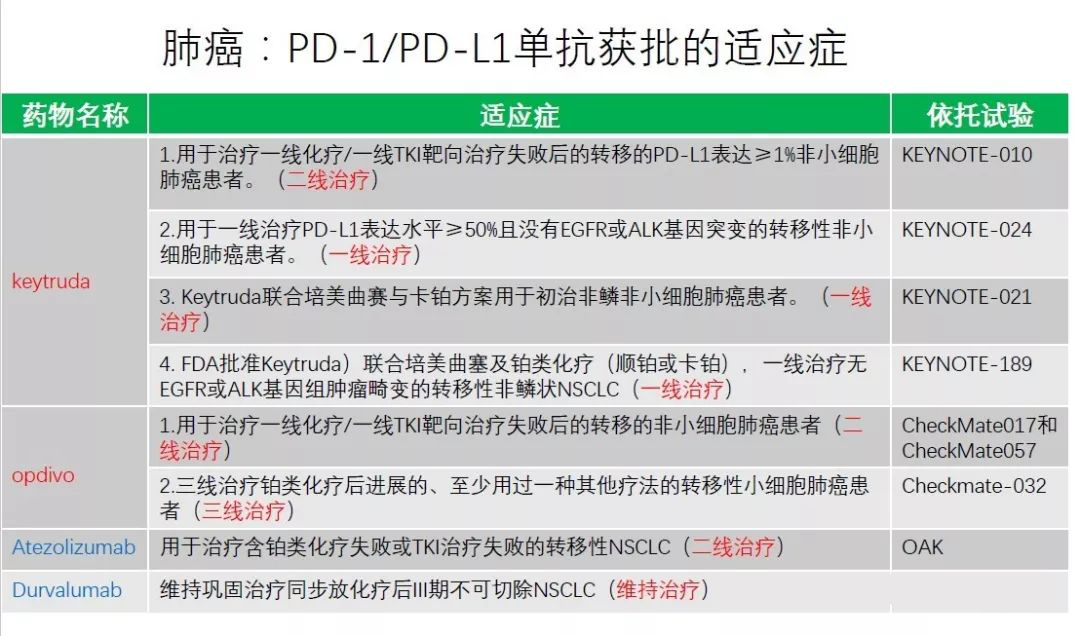 除了获批的适应症外,pdl1单抗在肺癌领域也有着各种治疗模式的尝试.