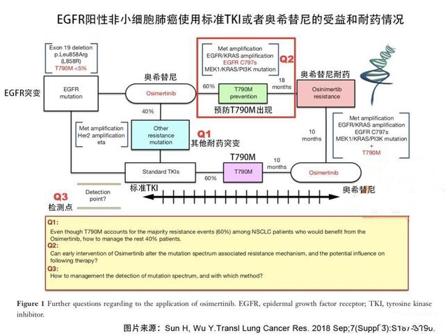 抗癌耐药揭秘奥希替尼一线治疗肺癌的耐药机制解读