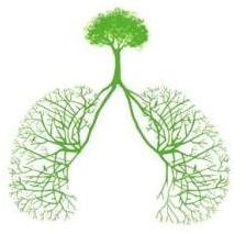 印度特罗凯(ERLOTINIB)厄洛替尼在安全和疗效对哪些肺癌患者有明显优势