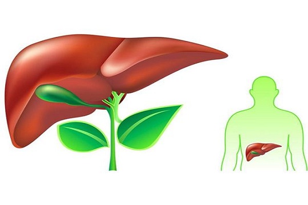 肝癌怎么治？晚期HCC一二三线治疗策略临床最新总结