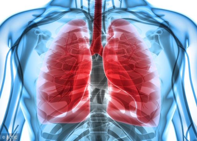 肺癌最怕这4种食物，常吃把肺癌扼杀在“萌芽”中