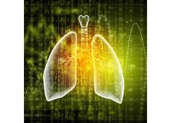 肺癌靶向药耐药怎么办