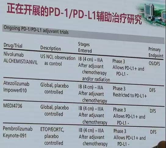 辅助帕博利珠单抗治疗1