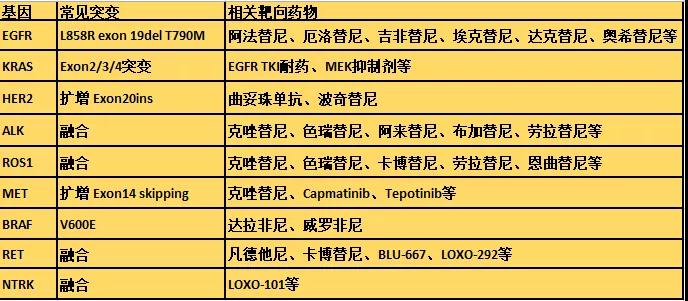 2019肺癌12大靶点全面解读及对应靶向药物方案盘点