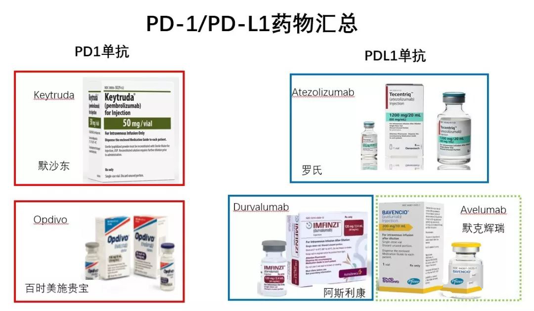 pd1单抗和pdl1单抗有什么区别